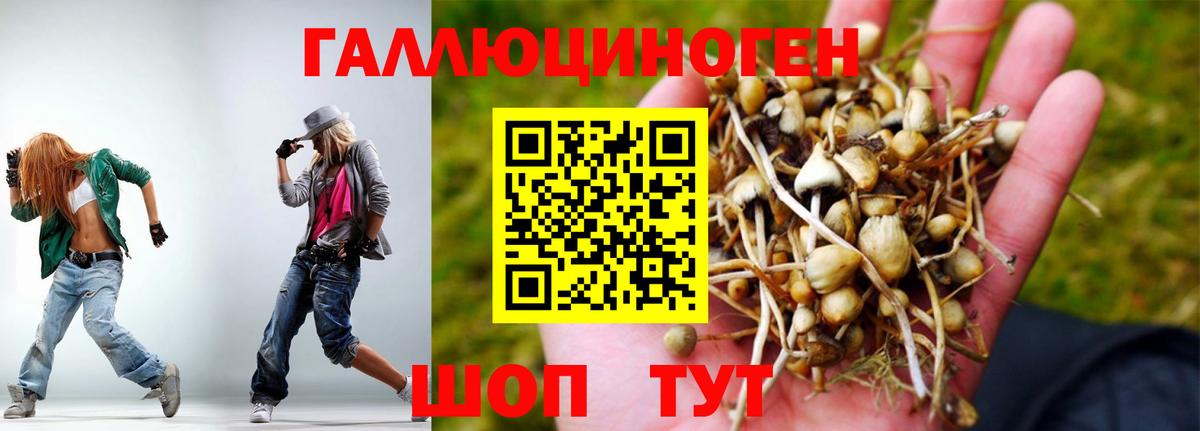 Казань  Псилоцибиновые грибы Cubensis  Вход с VPN 